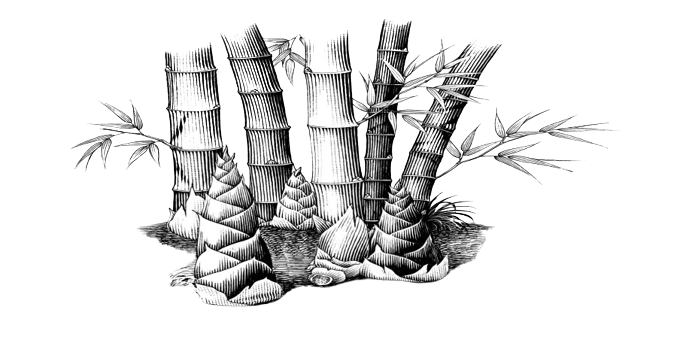 Bambu Cereais